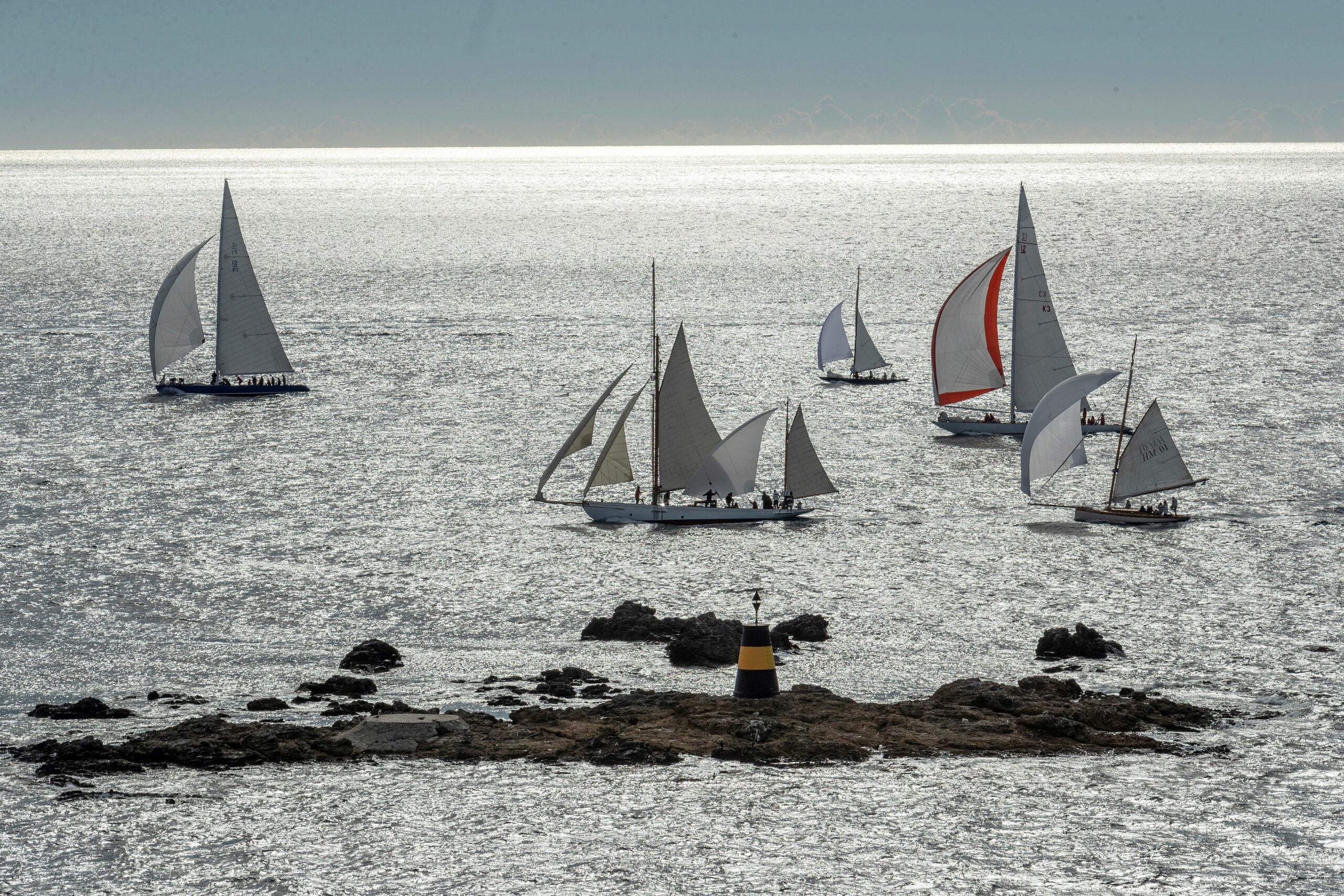 Les Voiles in XXL format!