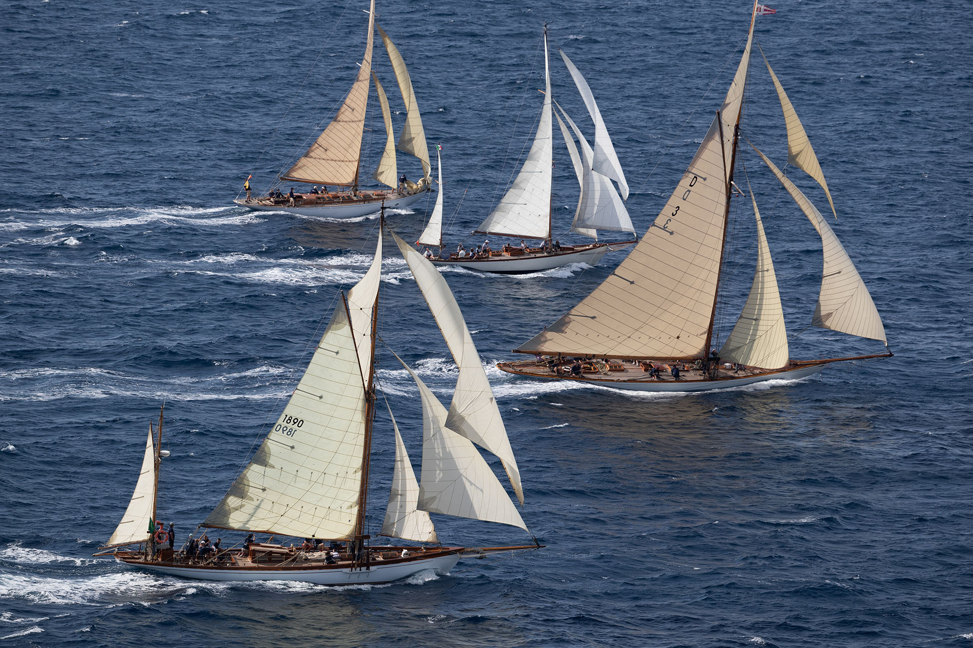 Les Voiles de Saint-Tropez : Le rêve commence demain