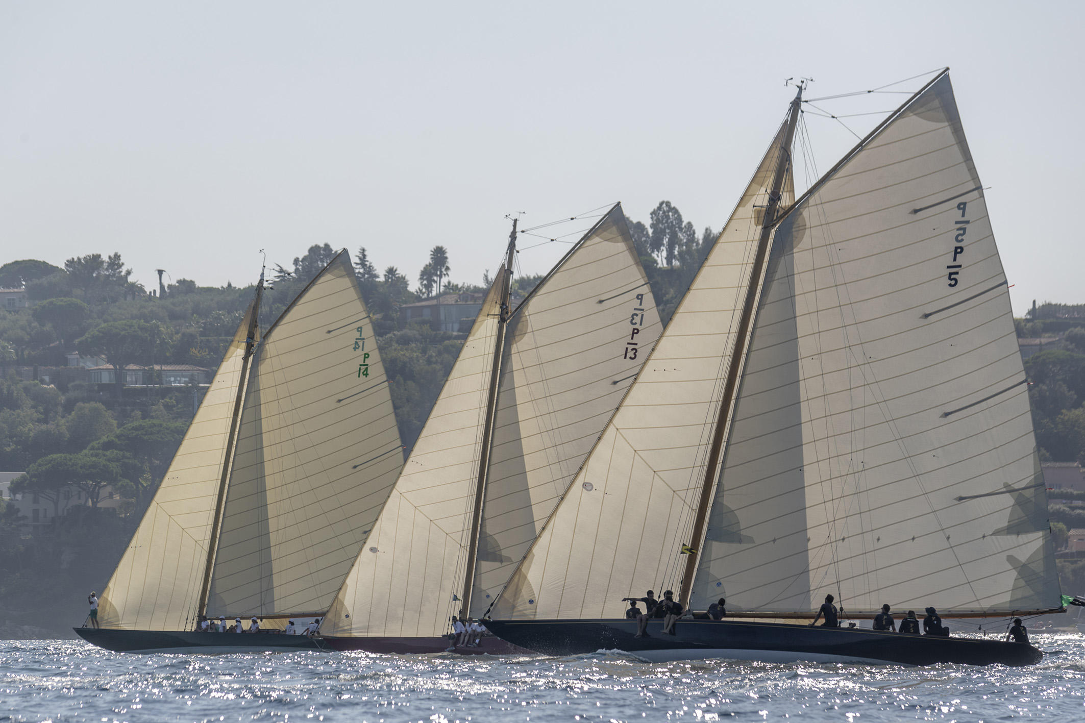 Les Voiles de Saint-Tropez: A Celebration of Excellence